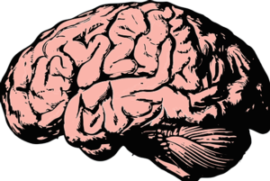 Brains and Biases